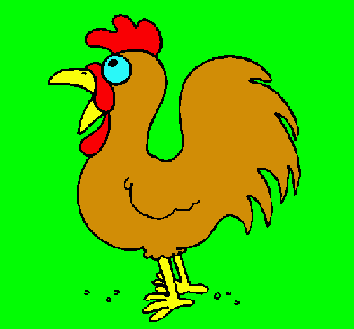 Gallo de granja