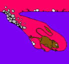 Dibujo Canguro rata pintado por SHEILAS-M-
