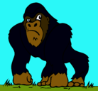 Dibujo Gorila pintado por danielito2