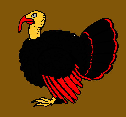 Pavo 