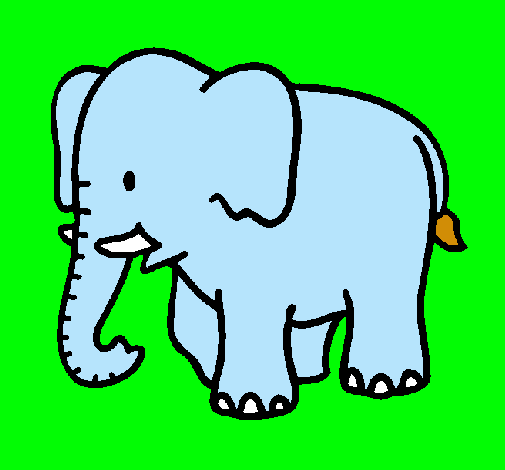 Elefante bebe