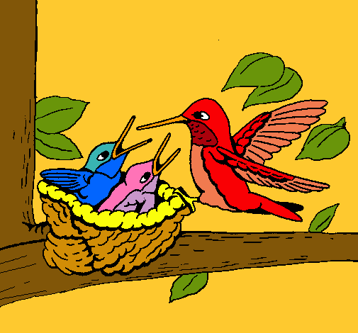 Dibujo Familia colibrí pintado por diego0