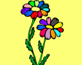 Dibujo Margaritas pintado por florsss