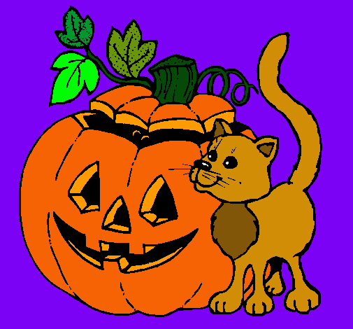 Calabaza y gato