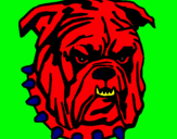 Dibujo Bull dog pintado por XDCVF