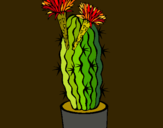 Dibujo Cactus con flores pintado por fera