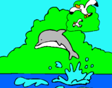 Dibujo Delfín y gaviota pintado por lauryguillen