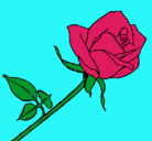 Dibujo Rosa pintado por gggdh