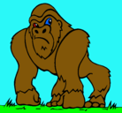 Dibujo Gorila pintado por xedes