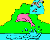 Dibujo Delfín y gaviota pintado por dirsson