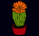 Dibujo Cactus con flor pintado por amalia