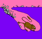 Dibujo Canguro rata pintado por cherli