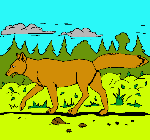Dibujo Coyote pintado por diego0