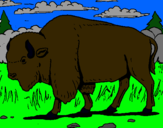 Dibujo Búfalo  pintado por puyol