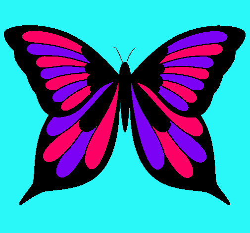 Mariposa