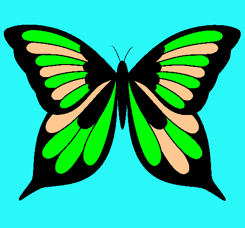 Mariposa