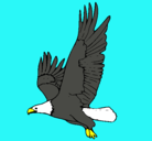Dibujo Águila volando pintado por giancarlo