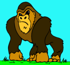Dibujo Gorila pintado por carlospign