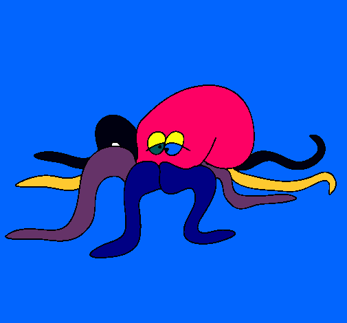 Pulpo