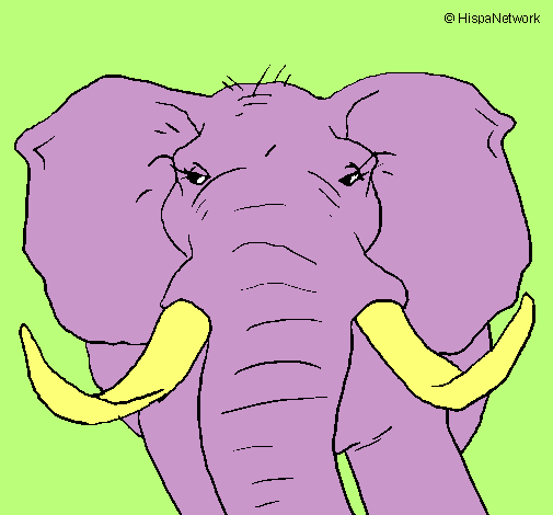 Dibujo Elefante africano pintado por mavito