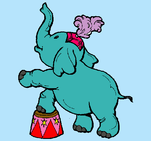 Elefante