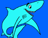 Dibujo Tiburón alegre pintado por tamalito
