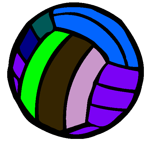 Pelota de voleibol