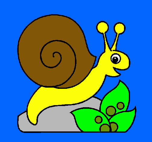 Caracol