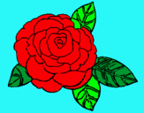 Dibujo Rosa pintado por priscilla