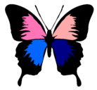 Dibujo Mariposa con alas negras pintado por grase7