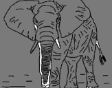 Dibujo Elefante pintado por julipe