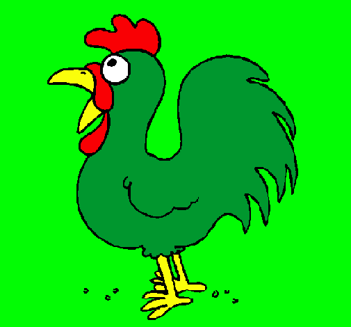 Gallo de granja