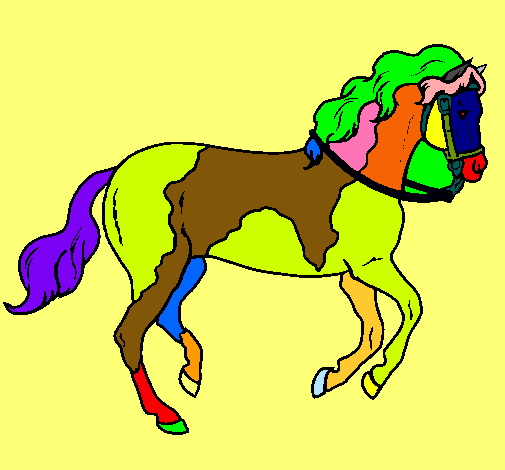 Caballo 5