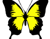 Dibujo Mariposa con alas negras pintado por AMARILLlO 