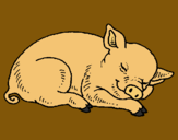 Dibujo Cerdo durmiendo pintado por antoniab