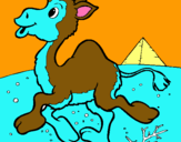 Dibujo Camello pintado por rty67u