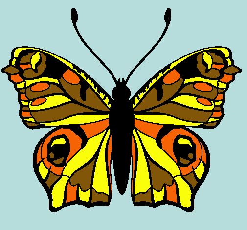 Dibujo Mariposa  pintado por Rauly