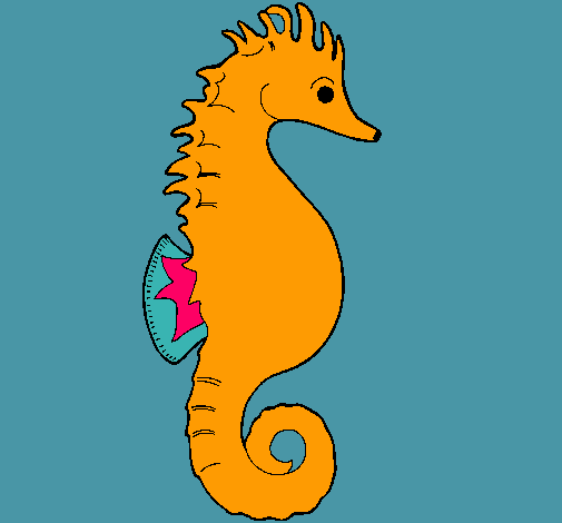 Caballito de mar