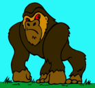 Dibujo Gorila pintado por salmilo