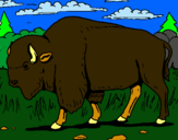 Dibujo Búfalo  pintado por safirav