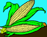 Dibujo Mazorca de maíz pintado por jedapuan