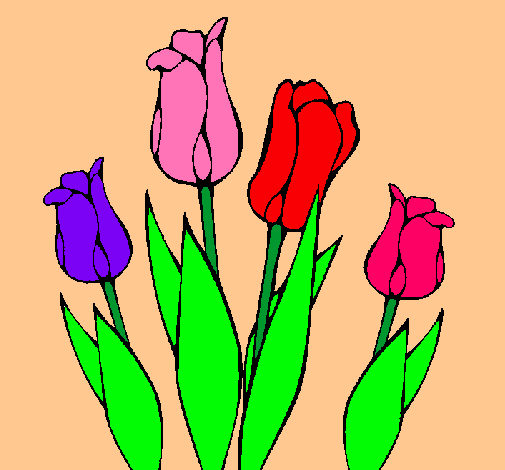 Tulipanes