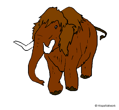 Mamut II