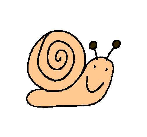 Caracol 4