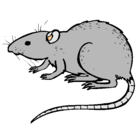 Dibujo Rata subterráena pintado por imeldita
