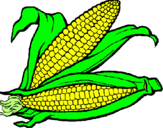 Dibujo Mazorca de maíz pintado por choclo