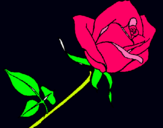 Dibujo Rosa pintado por moss
