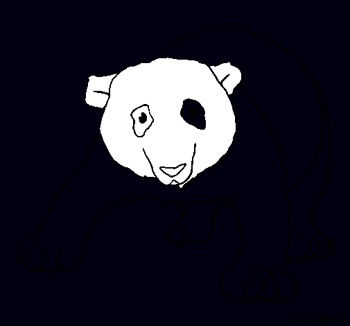 Oso panda