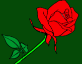 Dibujo Rosa pintado por liemys