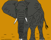 Dibujo Elefante pintado por gelipe